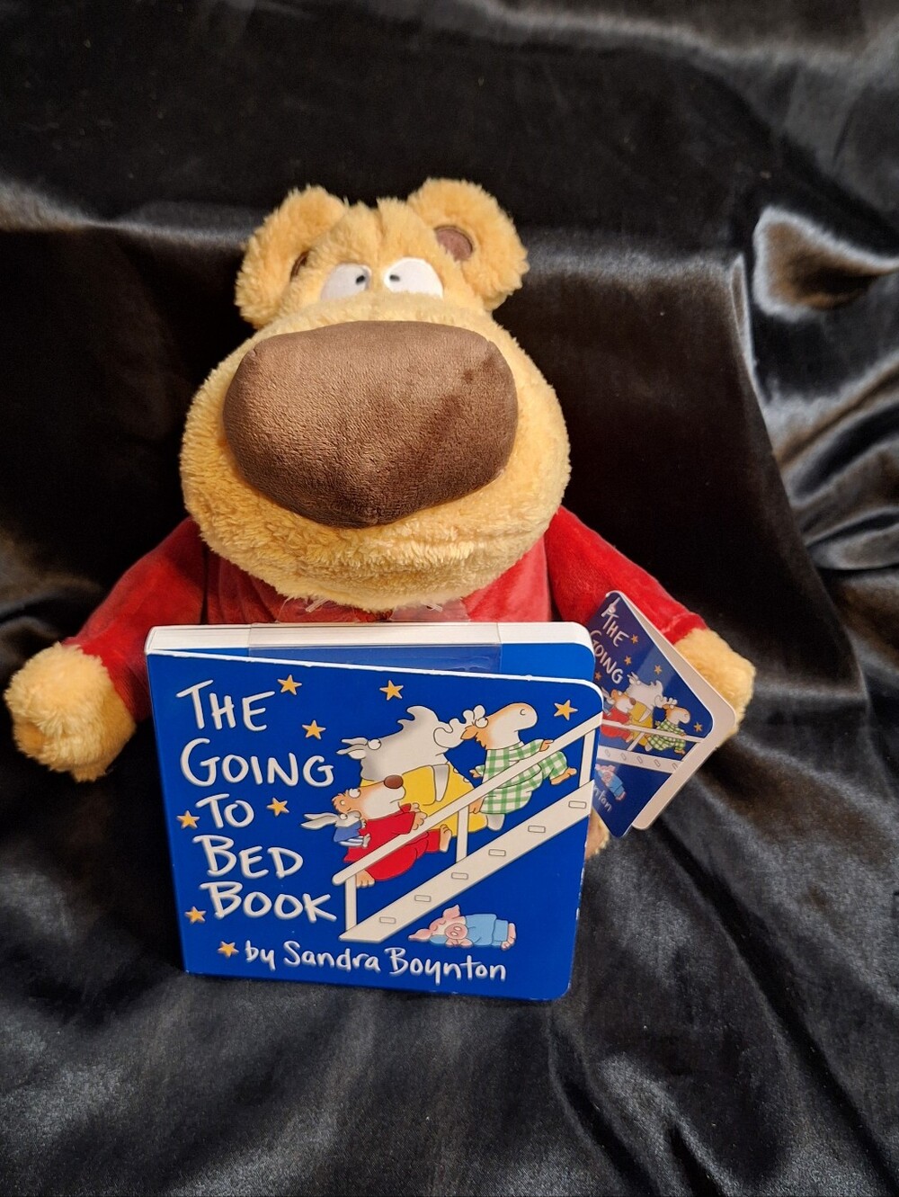 Kohl's Brown and Red Plush Bear with Blue 'The Going to Bed Book'